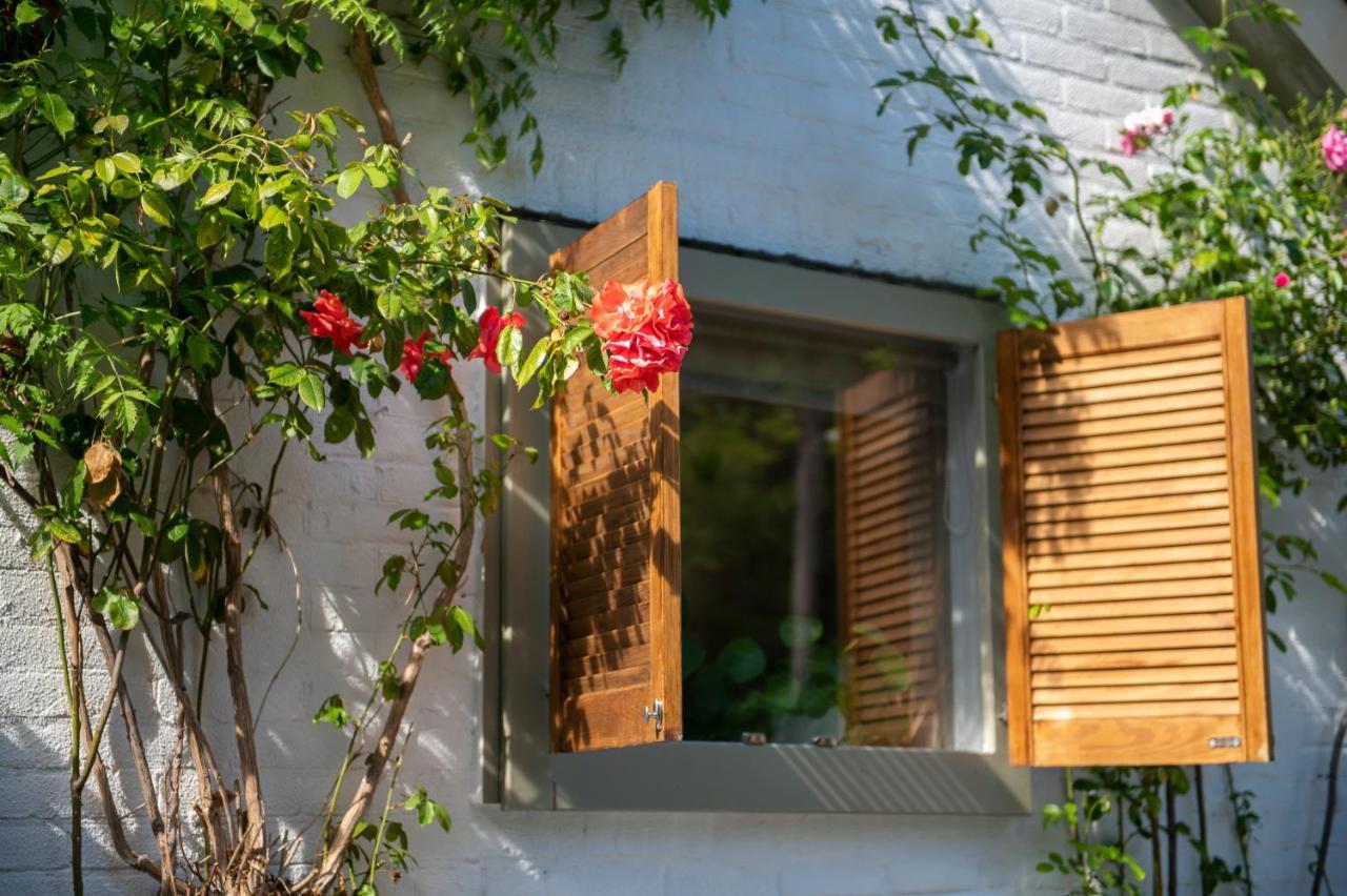 ساسّينهيم Lodge & Loft المظهر الخارجي الصورة